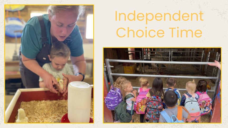 students and teachers enjoying animals around the farm